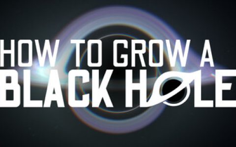 如何培育黑洞（How To Grow a Black Hole）免安装中文版